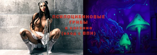 прущие крисы Белокуриха
