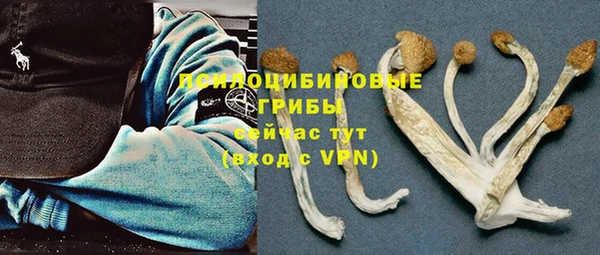 ALPHA PVP Белоозёрский