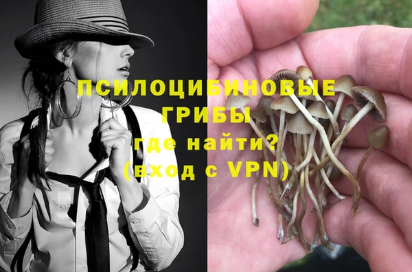 прущие крисы Белокуриха