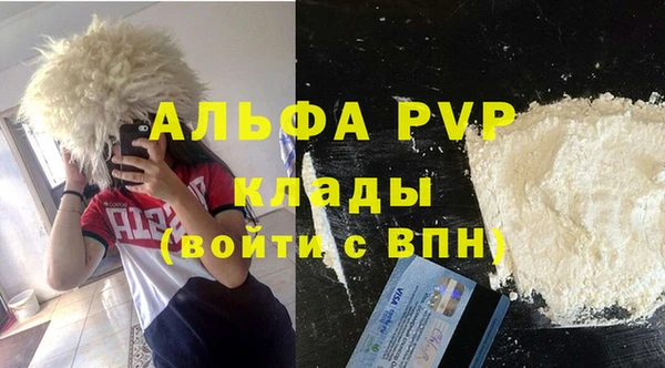 прущие крисы Белокуриха
