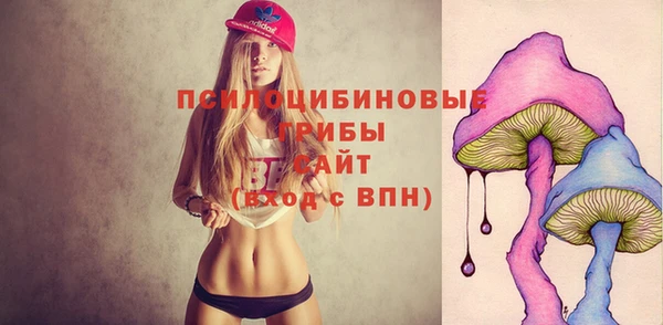 гидра Беломорск