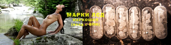 гидра Беломорск